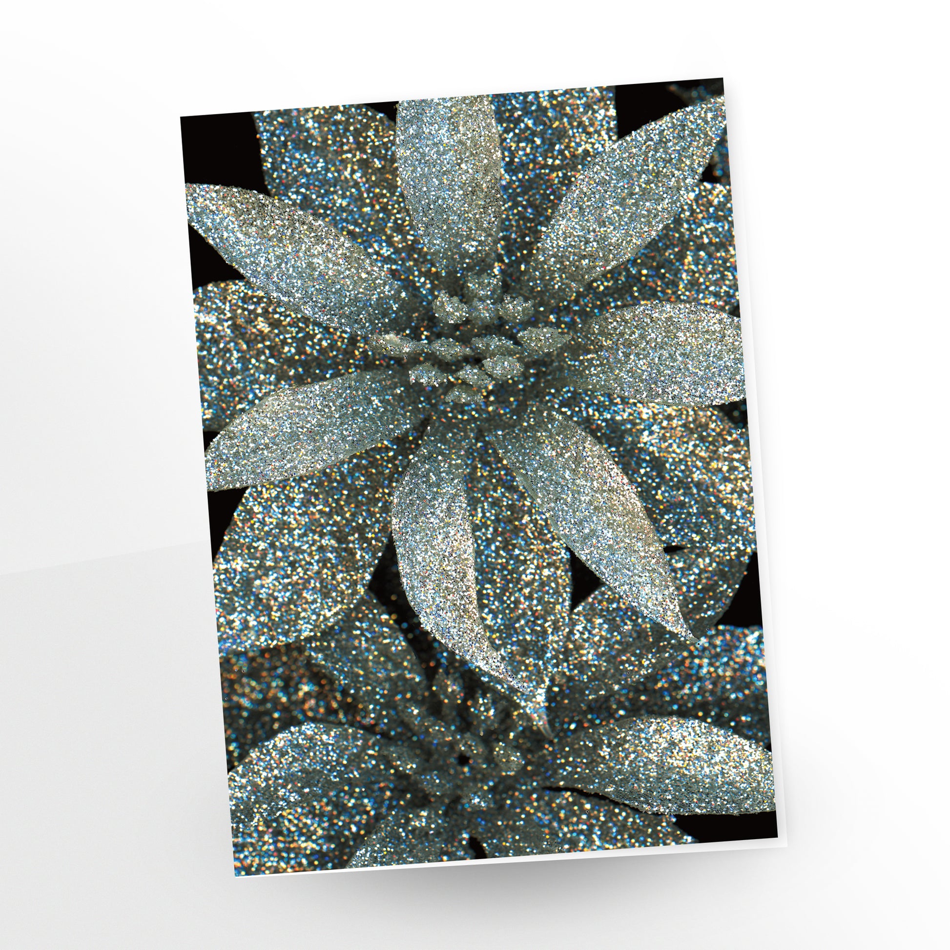 Magic Moment greeting card. Sparkling silver poinsettias on a black background by Carmen Grenier.