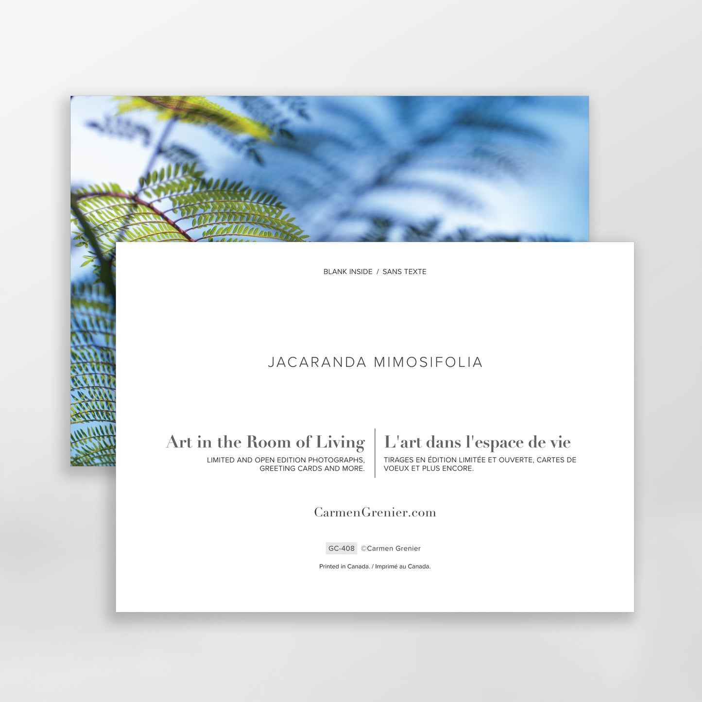 Jacaranda mimosifolia No. 2 | Cartes de voeux