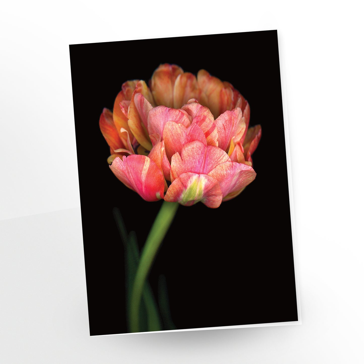 Greeting card Tulip Collection 'Sumptuous' SKU: GC-433A