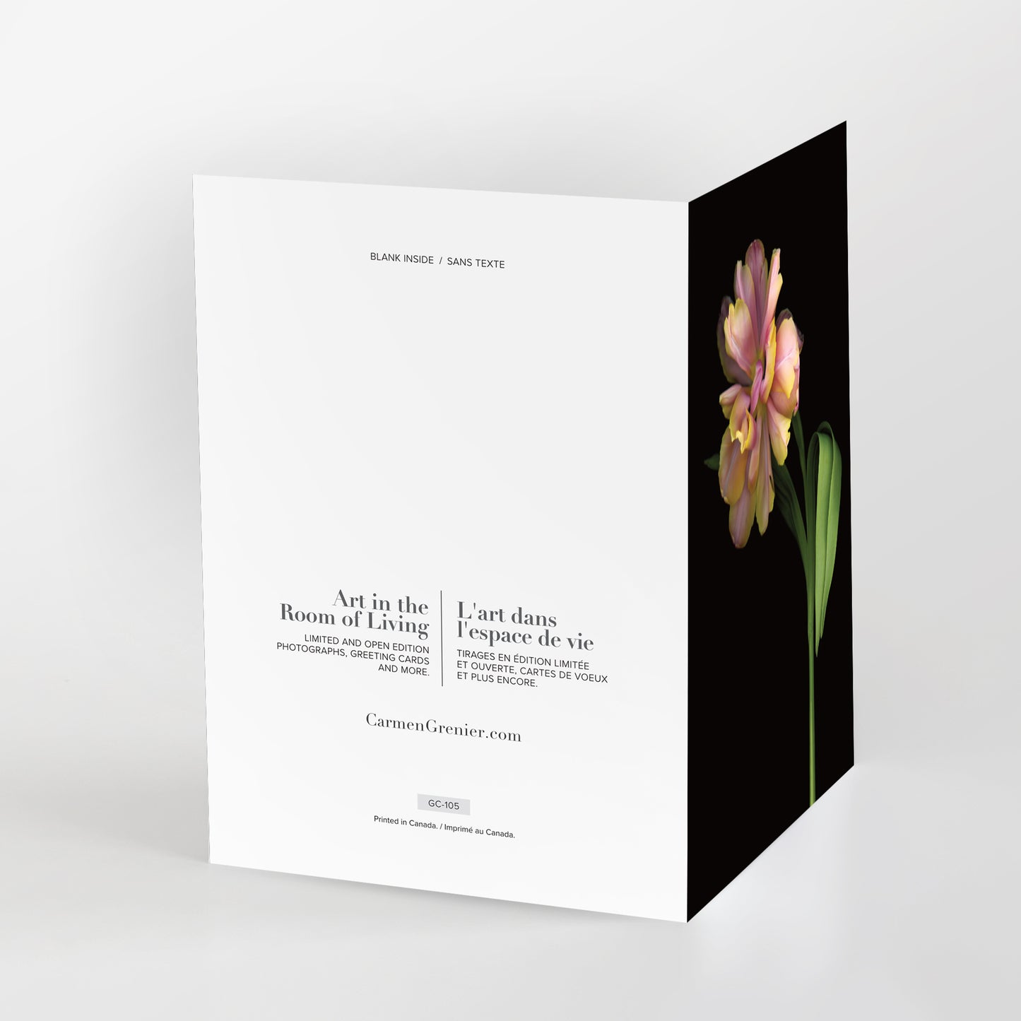 quintessence, a single yellow, peach and pink tulip on black background, greeting card, gc105, scanography by carmengrenier