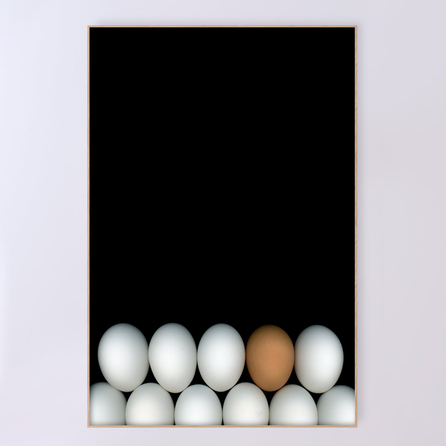 Two rows of white chicken eggs with one brown egg on a black background. Open edition 24x36 inches print by Carmen Grenier. OE-354-4