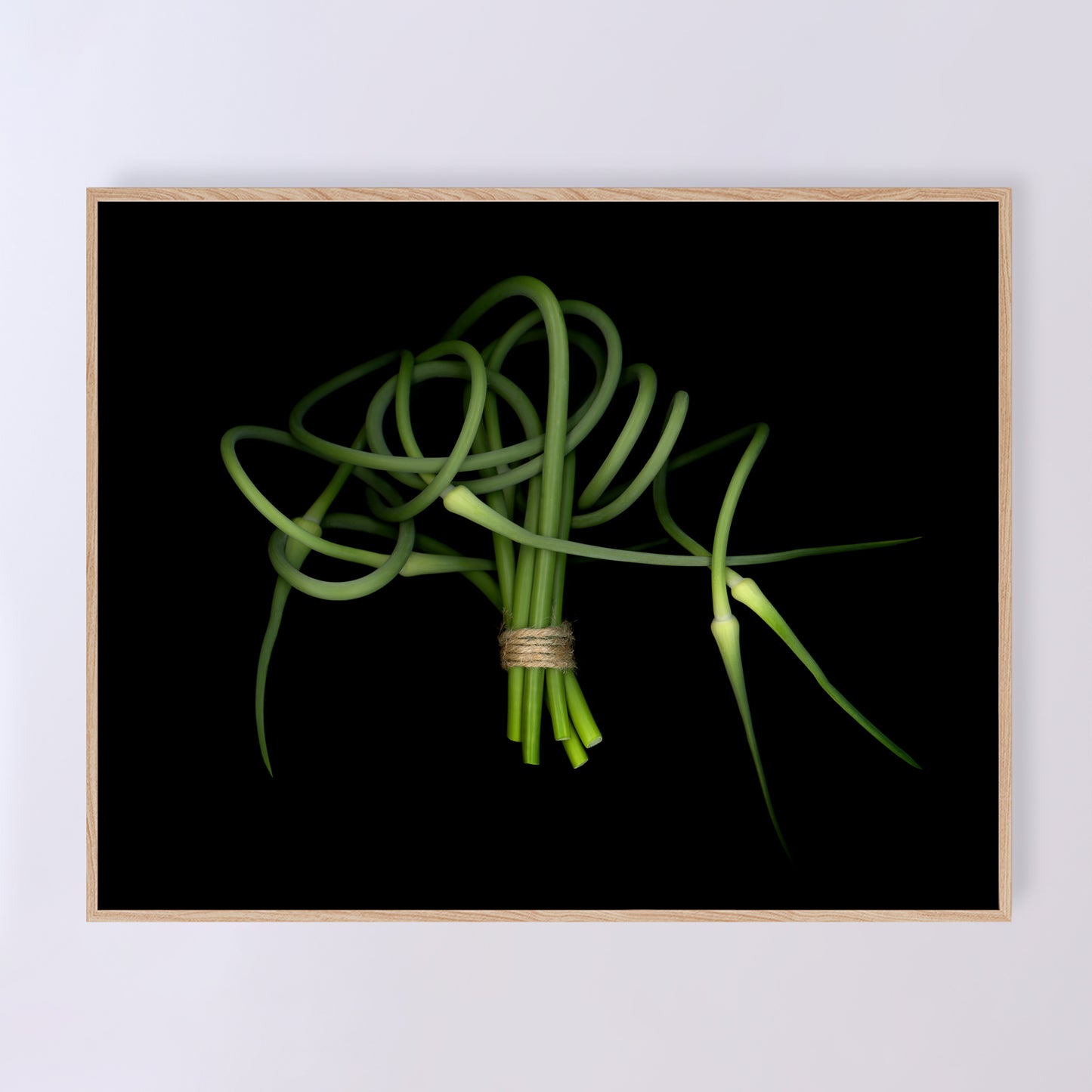 This fine art print features a detailed bouquet of garlic scapes on a black background. The print measures 14x11 inches and has the code OE-362-2. The image was created using scanography by Carmen Grenier.