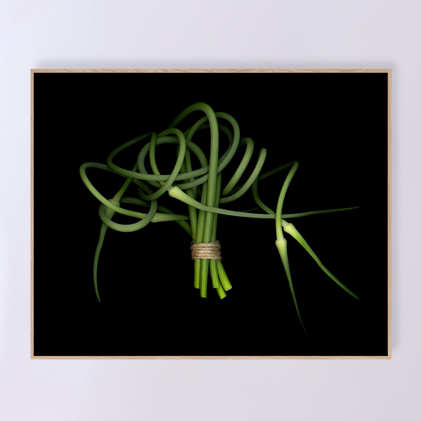 This fine art print features a detailed bouquet of garlic scapes on a black background. The print measures 20x16 inches and has the code OE-362-3. The image was created using scanography by Carmen Grenier.