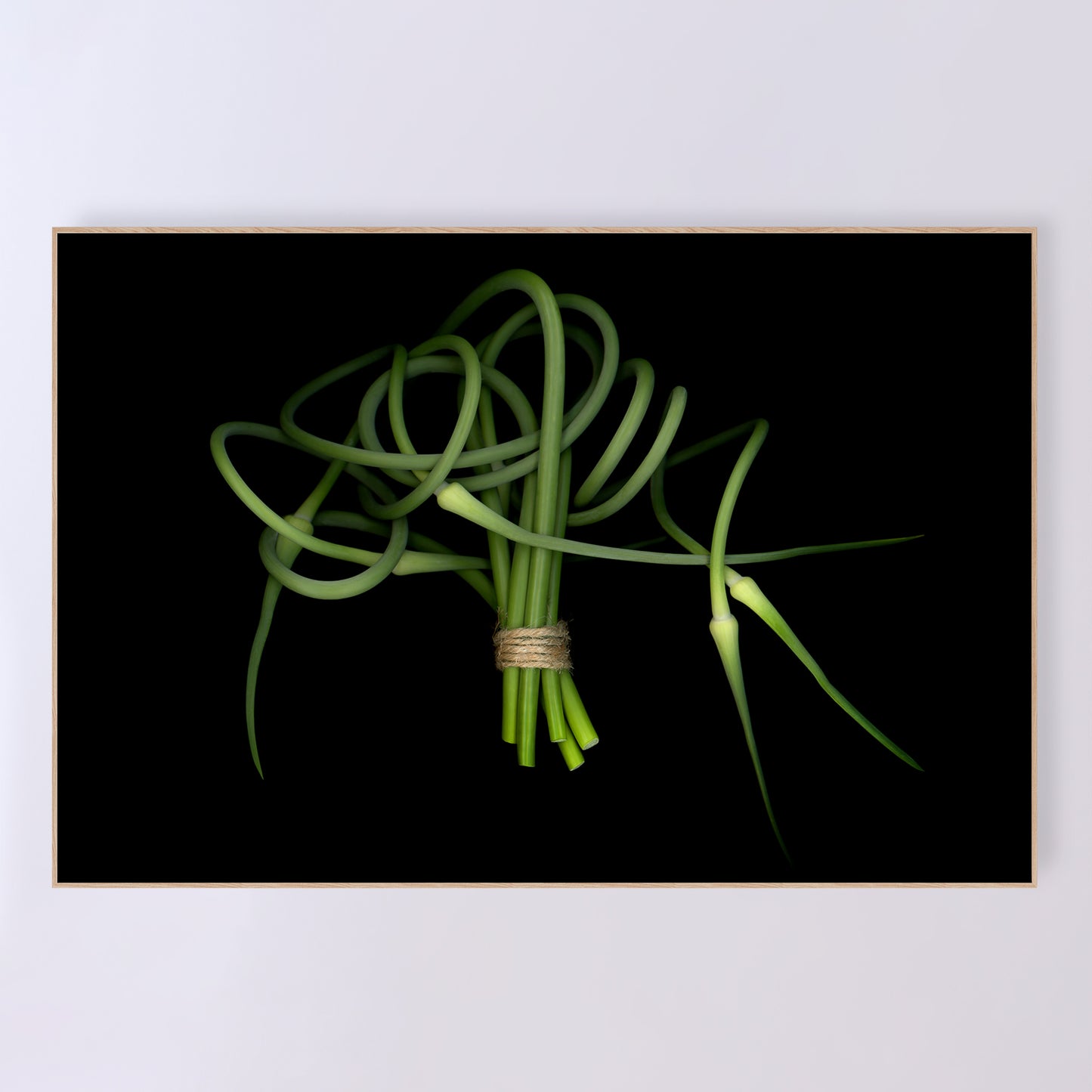 This fine art print features a detailed bouquet of garlic scapes on a black background. The print measures 36x24 inches and has the code OE-362-4. The image was created using scanography by Carmen Grenier.