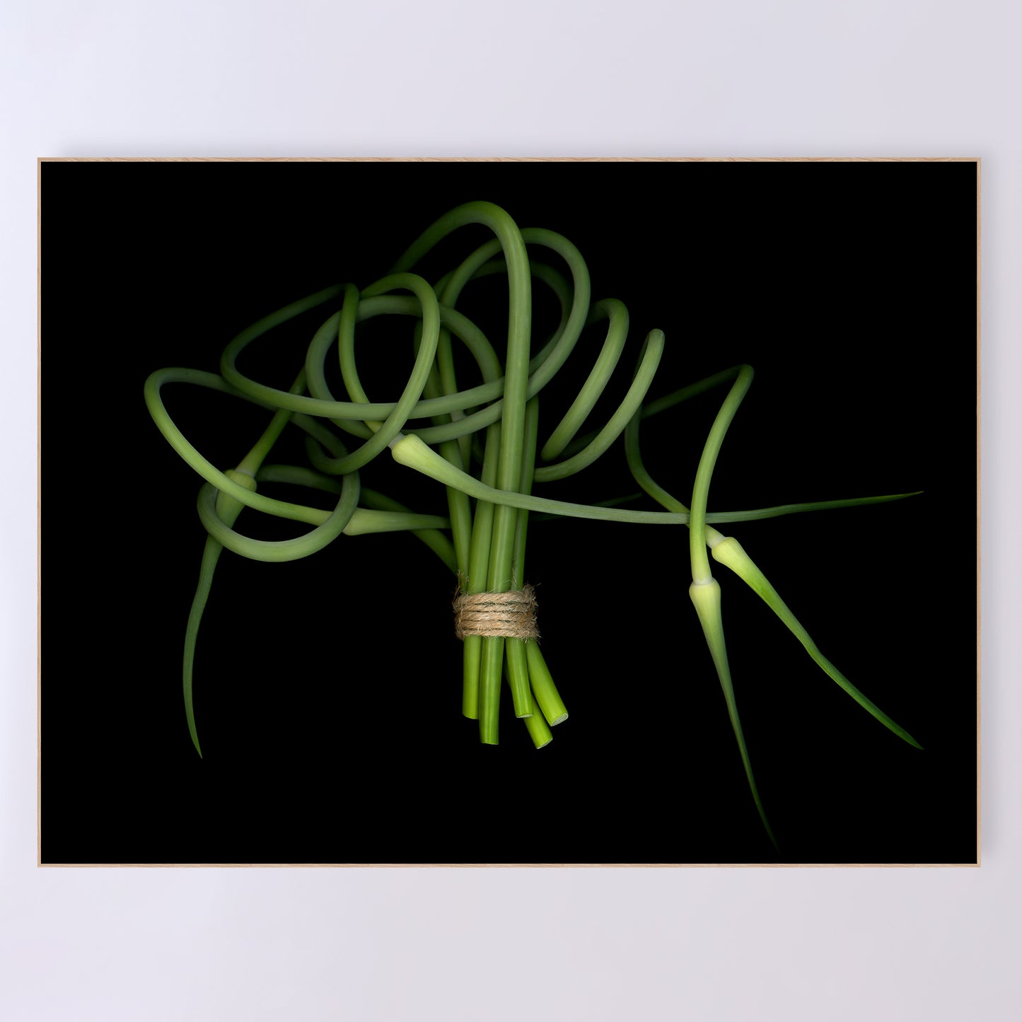 This fine art print features a detailed bouquet of garlic scapes on a black background. The print measures 48x36 inches and has the code OE-362-5. The image was created using scanography by Carmen Grenier.