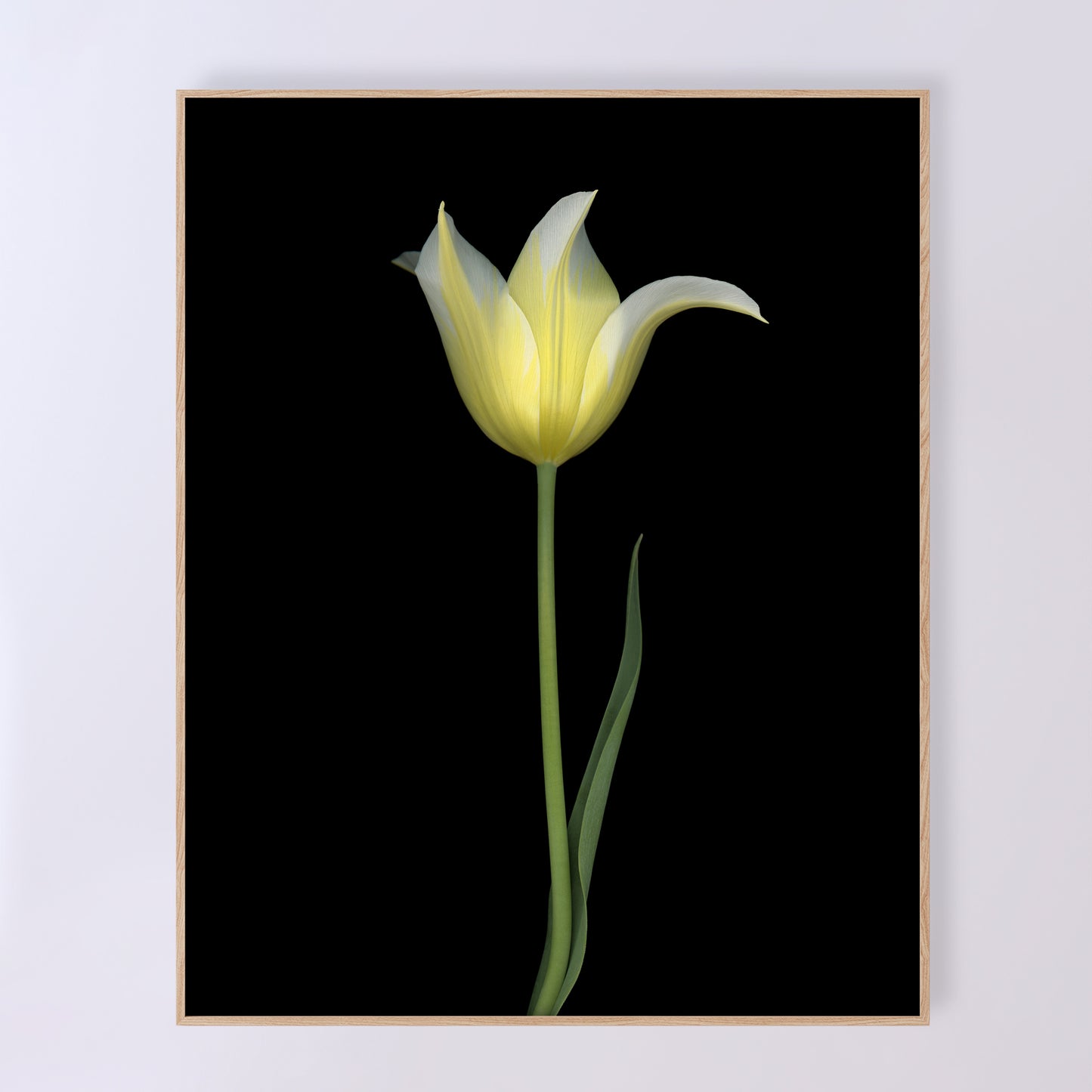 Open edition print 'Transparence' by Carmen Grenier; scanography. 16x20 inches.