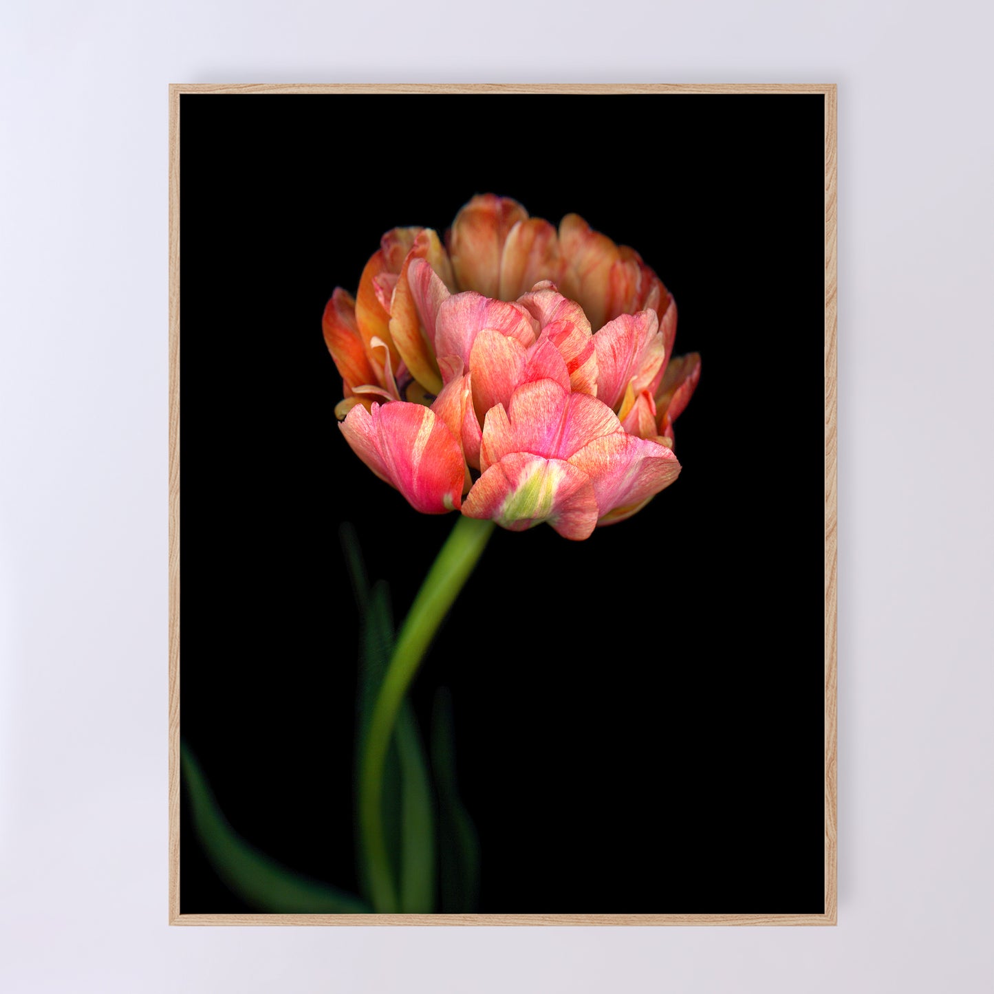 Open edition print 'Sumptuous' by Carmen Grenier; scanography. 11x14 inches.
