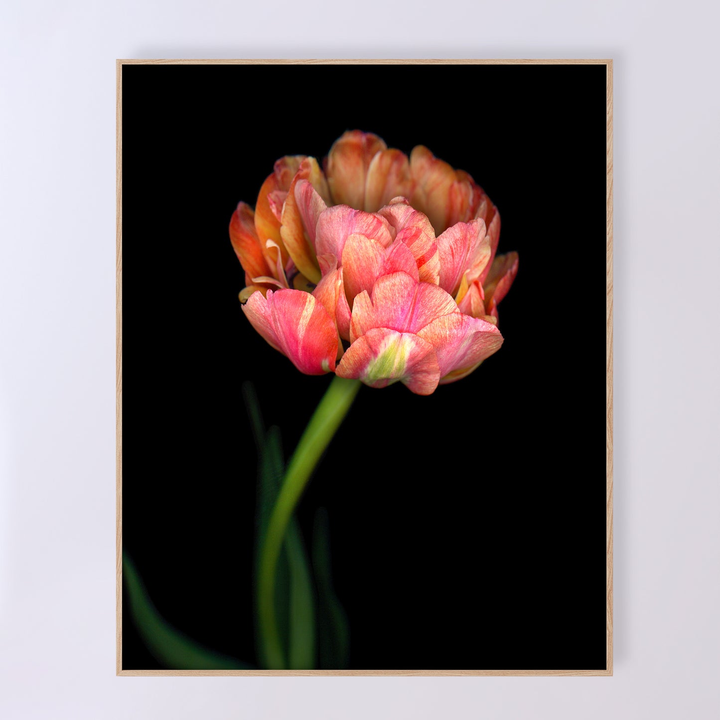 Open edition print 'Sumptuous' by Carmen Grenier; scanography. 16x20 inches.