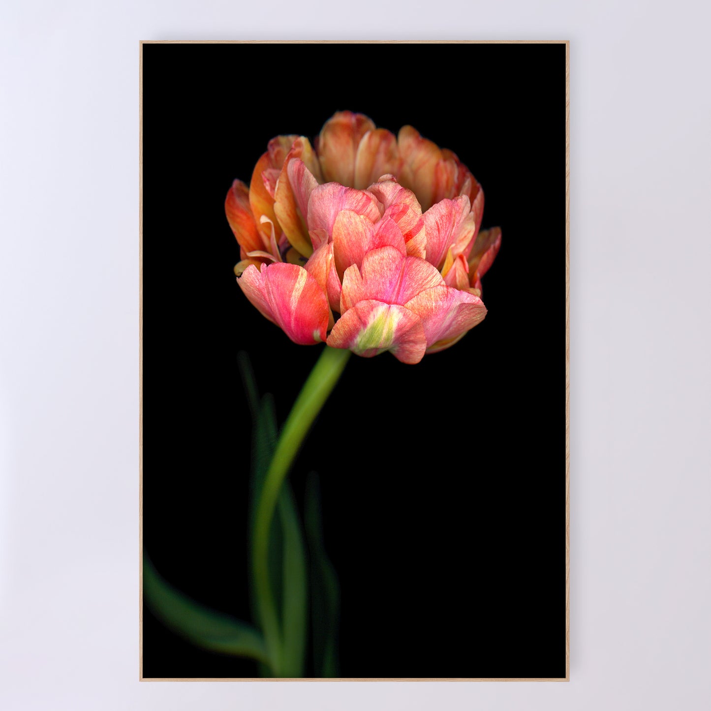 Open edition print 'Sumptuous' by Carmen Grenier; scanography, 24x36 inches.