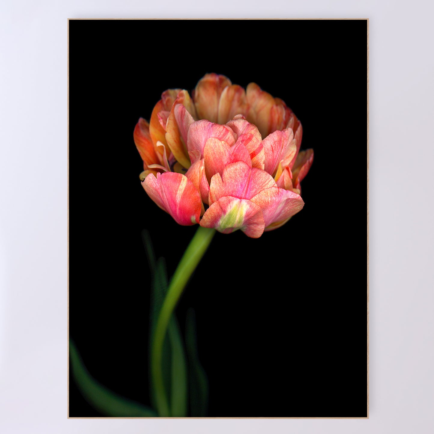 Open edition print 'Sumptuous' by Carmen Grenier; scanography, 36x48 inches.