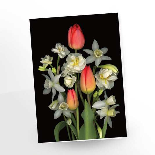 Greeting Card Tulip Collection 'FRAGRANCE of SPRING'   SKU: GC-432A