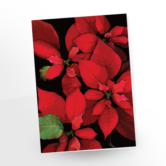 Poinsettia no. 129 | Cartes de voeux