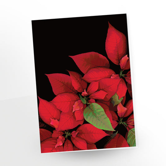 Poinsettia no. 130 | Cartes de voeux