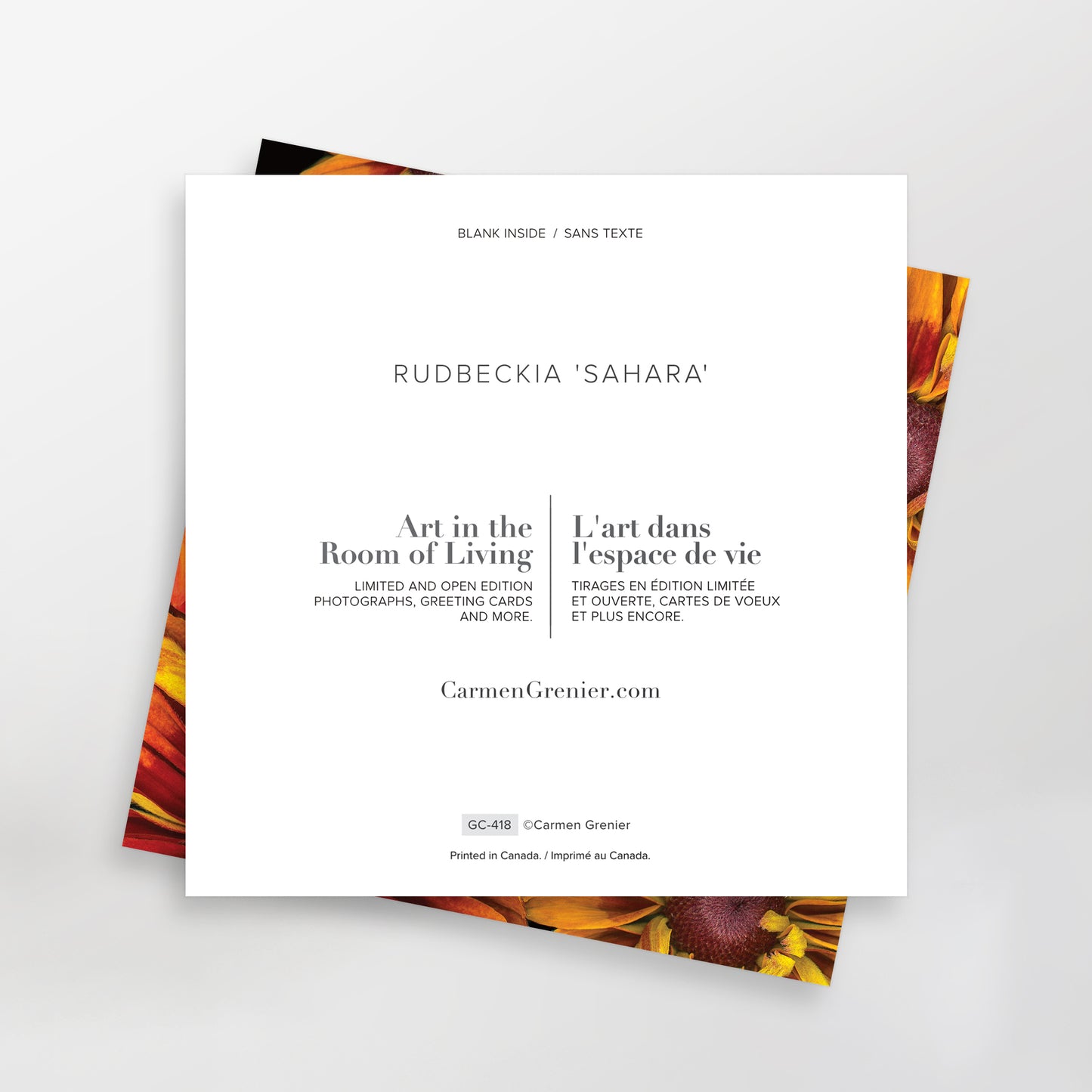 Rudbeckia 'Sahara' - Carte de vœux